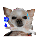 小梅な毎日♪（個別スタンプ：24）