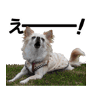 小梅な毎日♪（個別スタンプ：26）