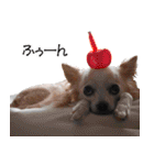 小梅な毎日♪（個別スタンプ：27）