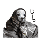 小梅な毎日♪（個別スタンプ：28）