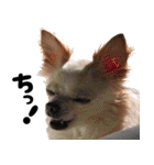 小梅な毎日♪（個別スタンプ：30）