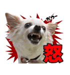 小梅な毎日♪（個別スタンプ：31）