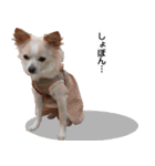 小梅な毎日♪（個別スタンプ：32）