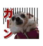 小梅な毎日♪（個別スタンプ：34）