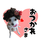 小梅な毎日♪（個別スタンプ：38）