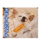 小梅な毎日♪（個別スタンプ：40）