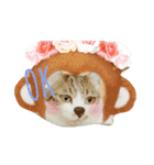 ~猫と犬の日々~（個別スタンプ：2）