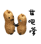 peanut peanut life2（個別スタンプ：3）
