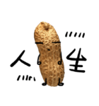 peanut peanut life2（個別スタンプ：4）