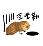 peanut peanut life2（個別スタンプ：10）