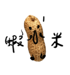 peanut peanut life2（個別スタンプ：11）