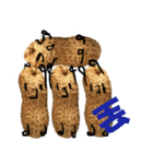 peanut peanut life2（個別スタンプ：13）