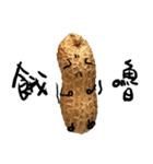 peanut peanut life2（個別スタンプ：14）