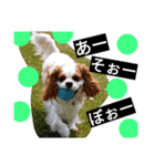 キャバ族Ⅱ（個別スタンプ：3）