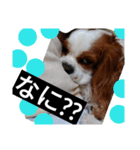 キャバ族Ⅱ（個別スタンプ：7）