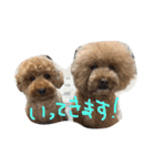 大吉＆甘太（個別スタンプ：23）