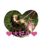 HERMES-KON（個別スタンプ：1）
