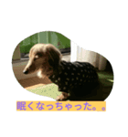 HERMES-KON（個別スタンプ：3）