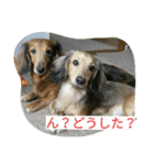 HERMES-KON（個別スタンプ：8）