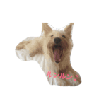 保護っ子たち①（個別スタンプ：3）