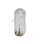 保護っ子たち①（個別スタンプ：6）