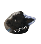 保護っ子たち①（個別スタンプ：8）