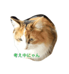 菜菜と昴（個別スタンプ：8）