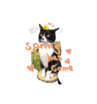 スカで季節のご挨拶♫（個別スタンプ：10）