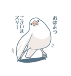 文鳥づくし2（個別スタンプ：8）