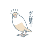 文鳥づくし2（個別スタンプ：38）