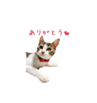 ユメちゃんスタンプ（個別スタンプ：2）