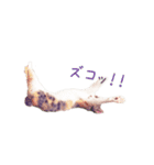 ユメちゃんスタンプ（個別スタンプ：13）