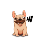 French Bulldog zaa（個別スタンプ：1）