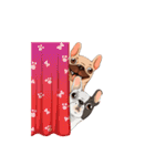 French Bulldog zaa（個別スタンプ：28）