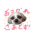ビッケ！（個別スタンプ：1）