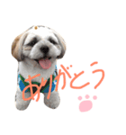ビッケ！（個別スタンプ：2）