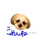 ビッケ！（個別スタンプ：3）
