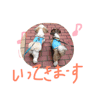 ビッケ！（個別スタンプ：5）