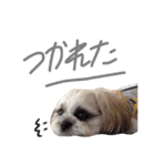 ビッケ！（個別スタンプ：6）