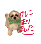 ビッケ！（個別スタンプ：7）