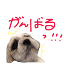 ビッケ！（個別スタンプ：8）