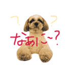 ビッケ！（個別スタンプ：10）
