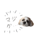 ビッケ！（個別スタンプ：12）