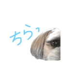 ビッケ！（個別スタンプ：14）
