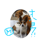 マイ すたんぷ（個別スタンプ：5）