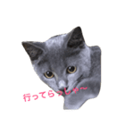 マイ すたんぷ（個別スタンプ：13）