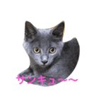 マイ すたんぷ（個別スタンプ：14）