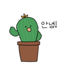 PARANA CACTUS（個別スタンプ：1）