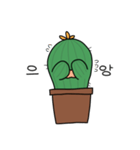 PARANA CACTUS（個別スタンプ：4）