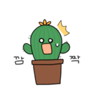 PARANA CACTUS（個別スタンプ：7）